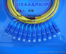 連接數(shù)字世界的橋梁 束狀尾纖、光纖跳線(xiàn)與皮線(xiàn)光纜